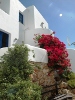 Exterior details , Meltemi Hotel, Chora, Folegandros, Cyclades, Greece