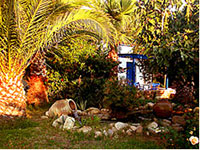 One of the hotel's gardens, Dionysos Hotel, Milos