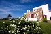 Garden detail, Plaza Beach Hotel, Plaka, Naxos, Cyclades, Greece