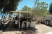 Pool bar with an exit to the beach , Coralli Bungalows, Livadakia, Serifos, Cyclades, Greece