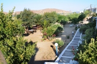 The garden area with exit to the beach of  Dorkas Apartments, Livadakia, Serifos