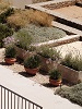 Garden detail, Nos Hotel & Villas, Faros, Sifnos
