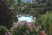 Pool view from garden, Alexandros Hotel garden, Platy Yialos, Sifnos, Cyclades, Greece