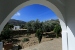 Olive gardens, Edem Apartments, Platy Yialos, Sifnos