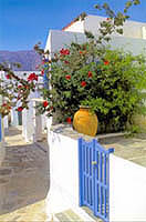 A pedestrian alley way in Sifnos