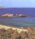 Crete,Vai beach,Review of the island of Crete by Matt Barrett, Crete travel information, Greek islands, Greece, island of Crete, CRETE, 