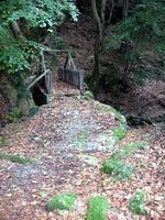 hiking in greece, pelion