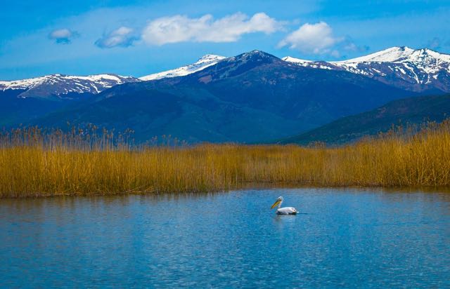 Lake Prespa, Macedonia, Greece