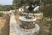 The garden area, Rose Home, Apollonia, Sifnos, Cyclades, Greece