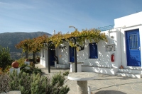 Overview of Sifnos View Pension, Apollonia, Sifnos