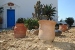 Garden details, Captain’s Home, Sifnos, Cyclades, Greece