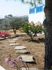 The garden area, Captain’s Home, Sifnos, Cyclades, Greece