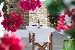 The main veranda, Christina's House, Artemonas, Sifnos, Cyclades, Greece