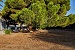 The garden in the backyard, Psacharopoulos House, Artemonas, Sifnos, Cyclades, Greece