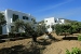 Exterior view with olive garden, Edem Apartments, Platy Yialos, Sifnos