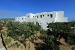 Exterior view with olive garden, Edem Apartments, Platy Yialos, Sifnos