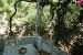 Garden view terrace , Giannakas Studios, Platy Yialos, Sifnos, Cyclades, Greece