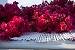 Bougainvillea, Verina Terra, Platy Yialos, Sifnos