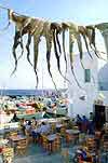 drying octopus