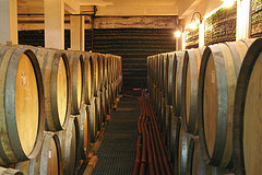 Winery