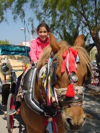 Horse-drawn carriage in Aegina