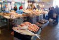 chania-market-fish02.jpg