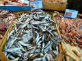 chania-market-fish04.jpg