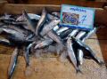 chania-market-fish2.jpg