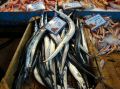 chania-market-fish5.jpg