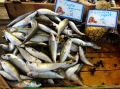 chania-market-fish8.jpg