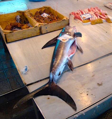 chania-market-fishswordfish.jpg