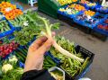 chania-market-horta-askrolimbi.jpg