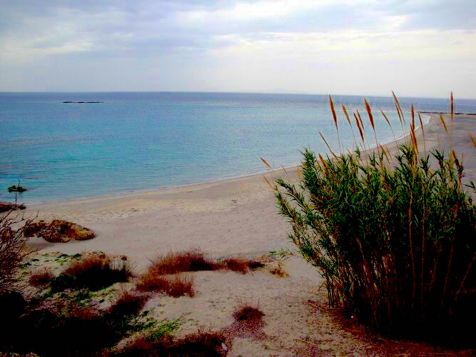 sfakia-fragokastelobeach.jpg