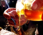 Greek honey from Ikaria