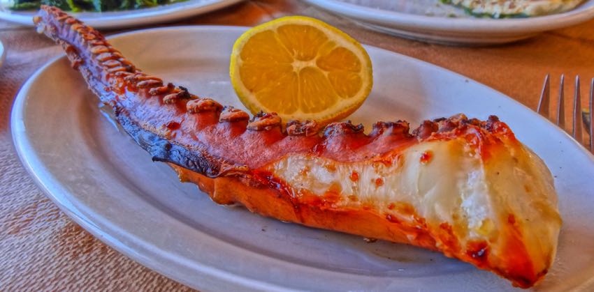 Greek seafood Octopus