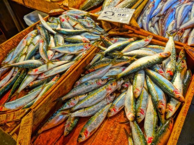 fresh sardines