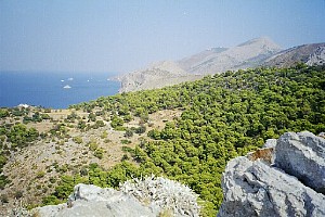 Hydra