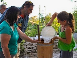 Farm Tour and Cheese Making Class