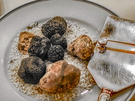 Truffles in Epirus