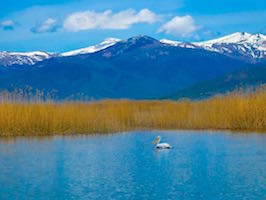 Lake Prespa