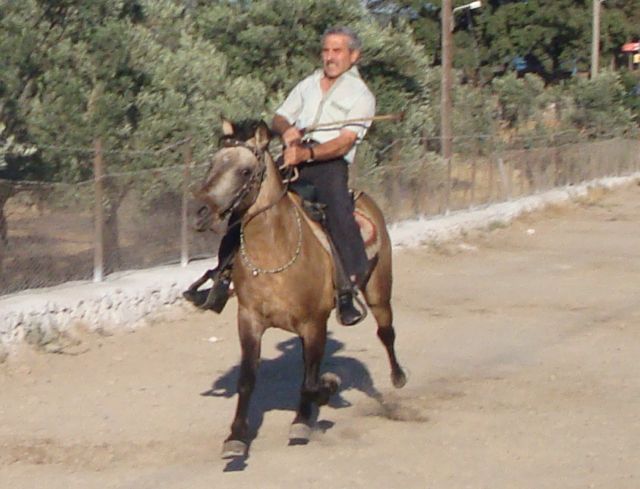 horseracing, agia paraskevis, lesvos