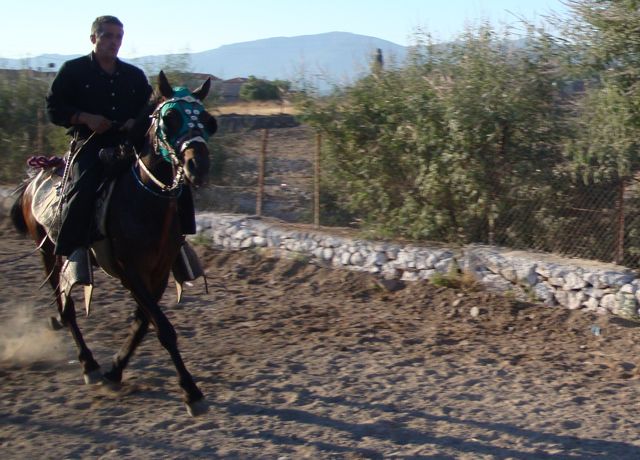 horserace, agia paraskevis, lesvos