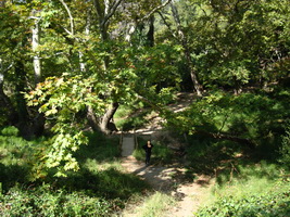 Mount Parnitha, Athens, Greece