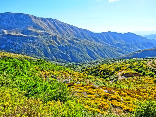 Mount Tagetos fire, Peloponessos