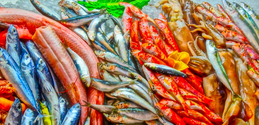 Fresh fish