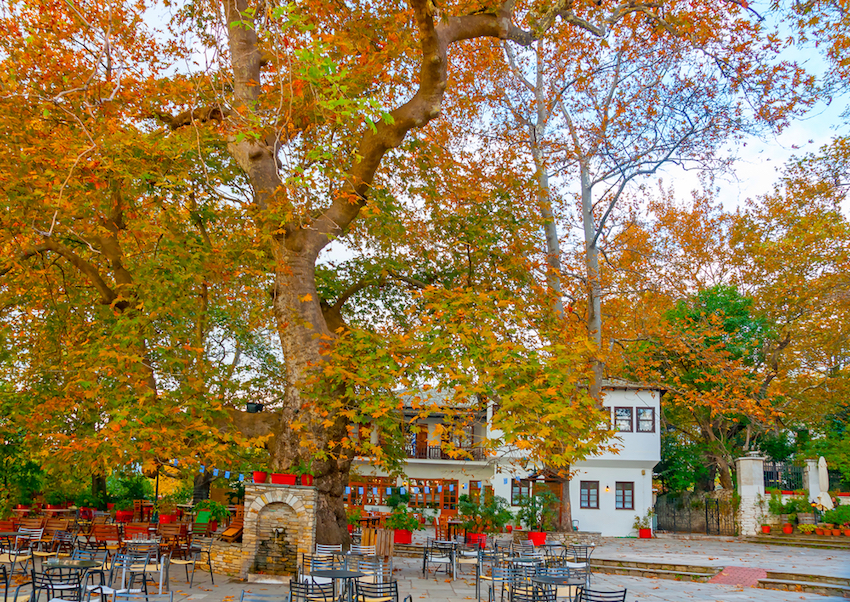 Portaria, Pelion