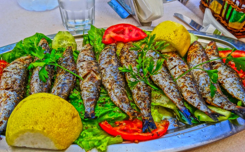 grilled sardines