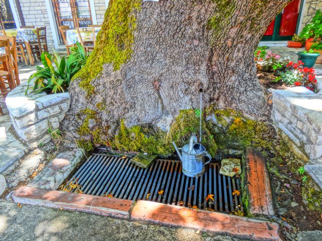 Andritsaina Fountain Tree