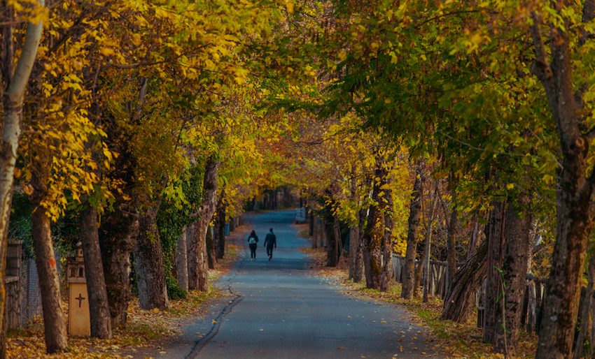 Love Road, Vytina, Arkadia