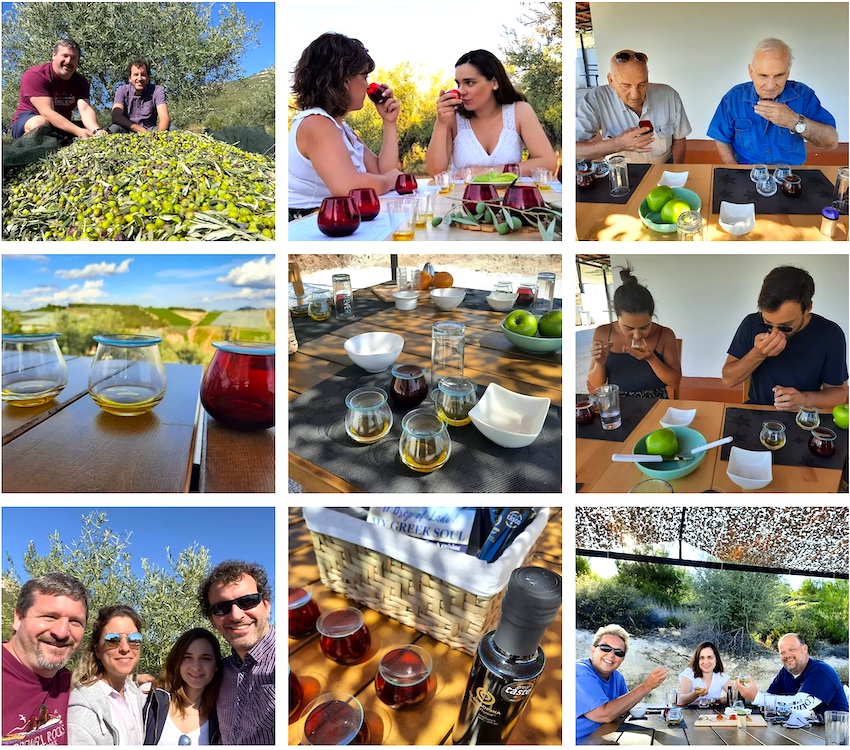 Olive oil tour and tasting